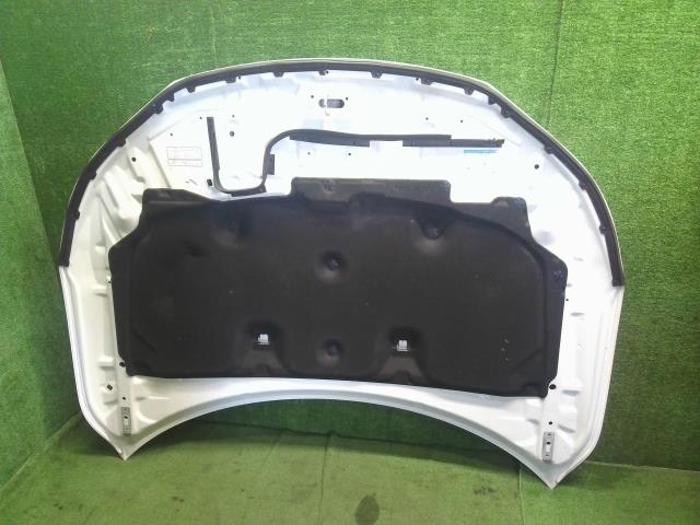 【中古】アコード DAA-CR7 ボンネットフード 自社品番250679 NH788P