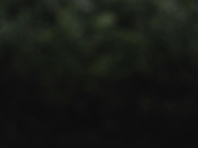 タント 6BA-LA660S ダイハツ純正フロアマット フロント　リア　1台分　ロゴ入　運転席側　助手席側 　自社品番250102