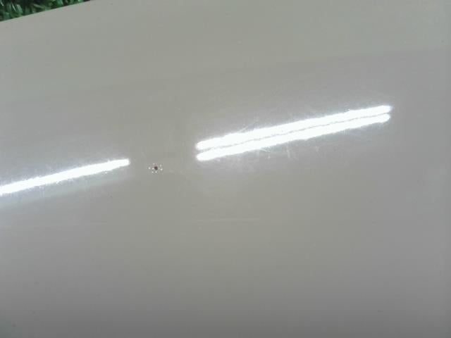 【中古】フィアット 500 ABA-31212 ボンネットフード  自社品番250248