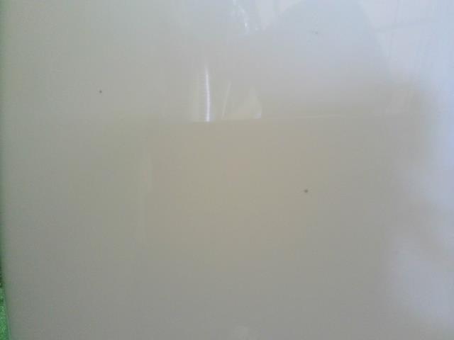 【中古】フィアット 500 ABA-31212 ボンネットフード  自社品番250248