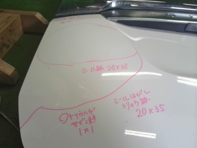 【中古】セレナ DAA-GNC27 バックドア リアゲート パネル K010M-5TAMA 自社品番250297 QM1