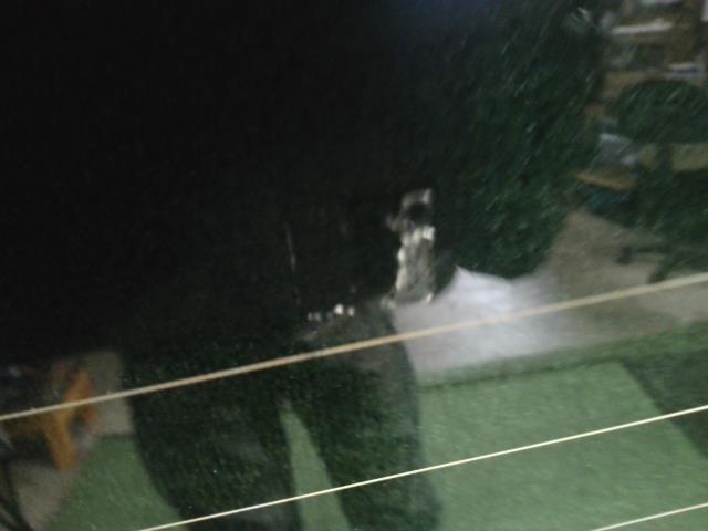 【中古】デイズルークス DBA-B21A リアゲート バックドア 90100-6A02D 自社品番250343 X42