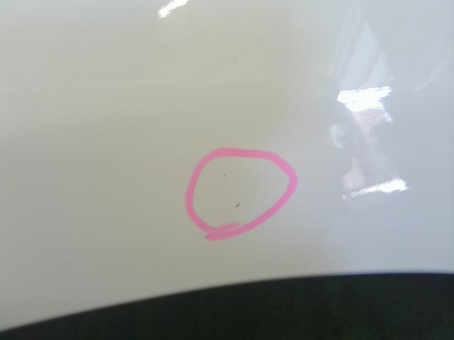 【中古】BMW 3シリーズ LDA-8C20 左フロントフェンダー 41 00 7 438 439 自社品番250375