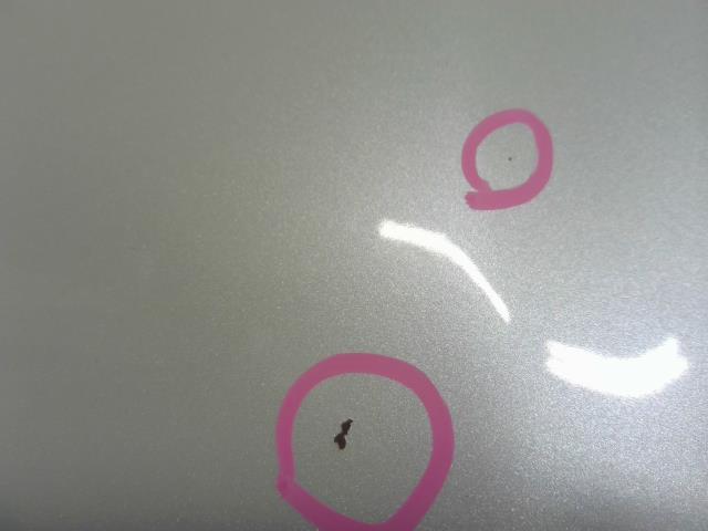 【中古】ヴィッツ DBA-NSP135 ボンネットフード 53301-52310 自社品番250493 070