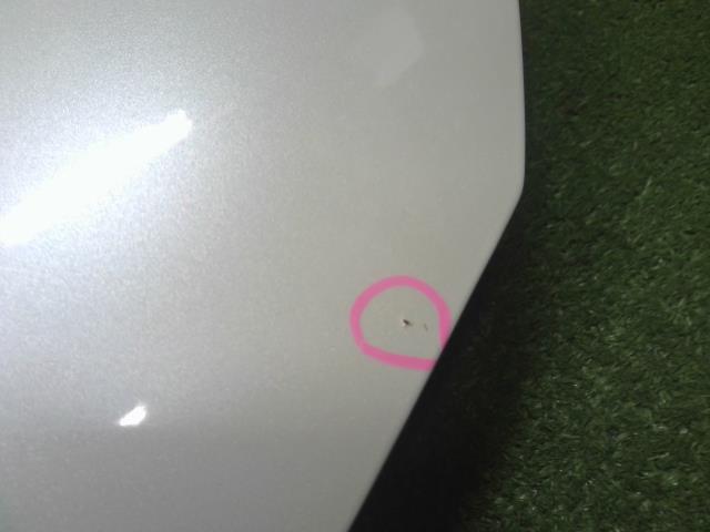 【中古】ヴィッツ DBA-NSP135 ボンネットフード 53301-52310 自社品番250493 070