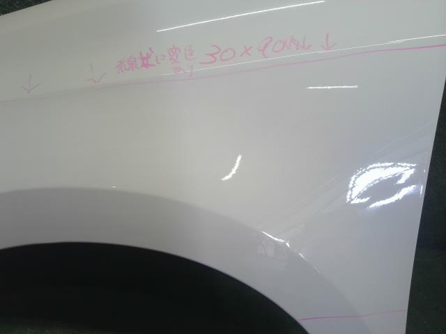 【中古】VW ポロ DBA-6RCBZ 左フロントフェンダー 6R0821105J 自社品番250499