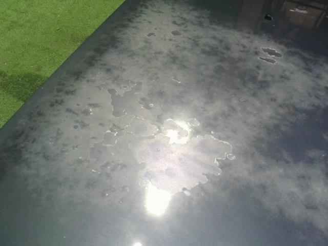 【中古】ランドクルーザープラド Q-LJ78G ボンネットフード 53301-60130 自社品番250598 183