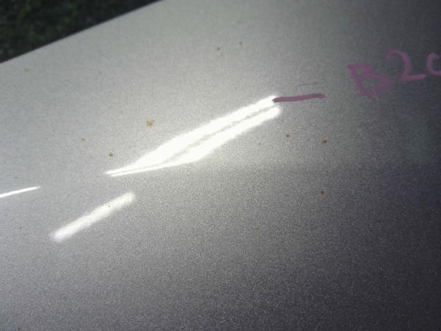 【中古】Ｎ－ＢＯＸ DBA-JF3 右 フロント フェンダー  自社品番250606 NH830M