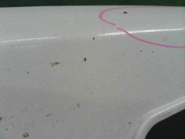 【中古】アコード DAA-CR7 左サイドステップ  サイドスポイラー  自社品番250679 NH788P